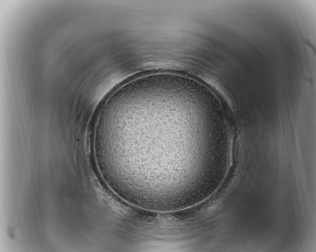 X0000102250983200808011307