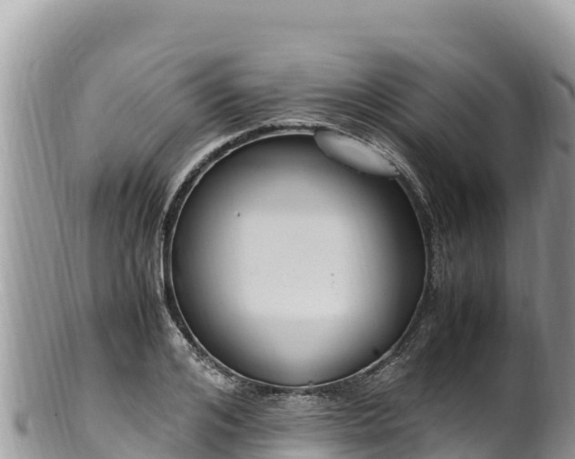 X0000102250984200808011307