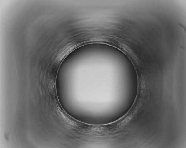 X0000102250985200808011307