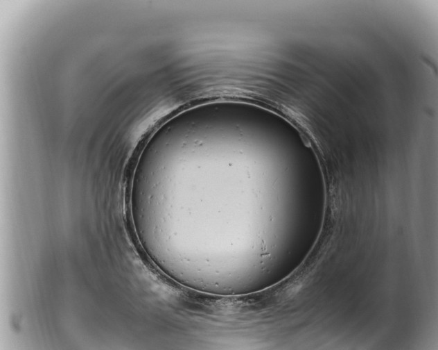 X0000102250987200808011307