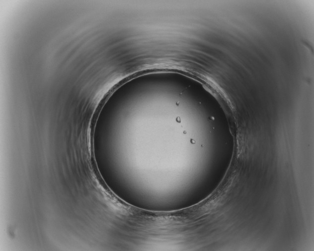 X0000102250988200808011307