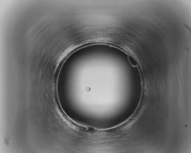 X0000102250989200808011307