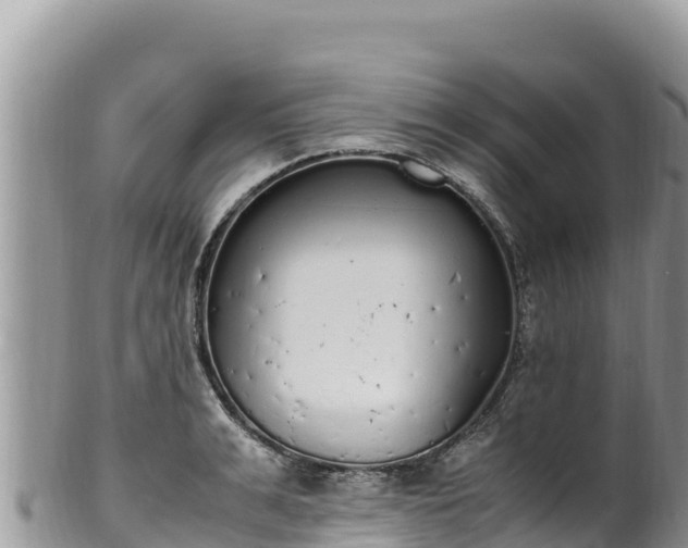 X0000102250991200808011307