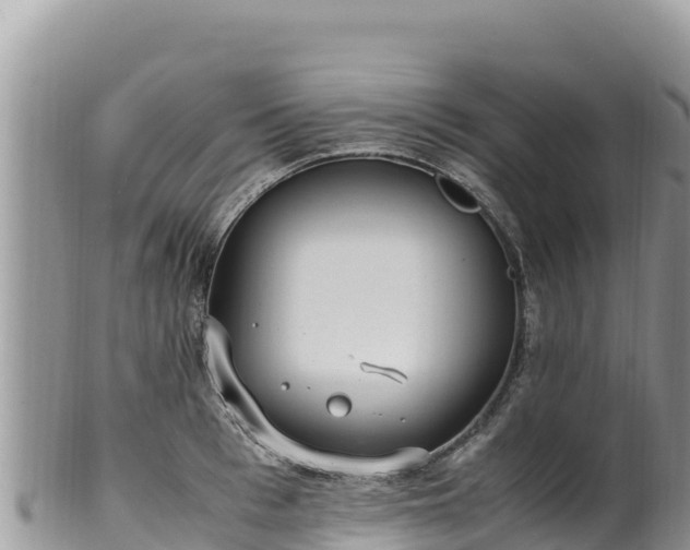 X0000102250993200808011307