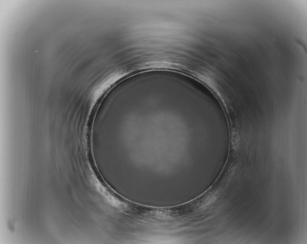 X0000102250995200808011307