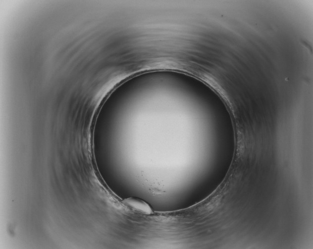 X0000102250996200808011307