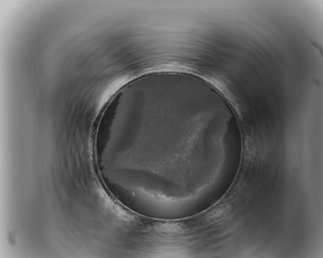 X0000102250998200808011307