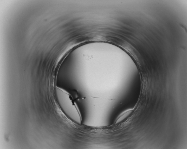 X0000102251000200808011307