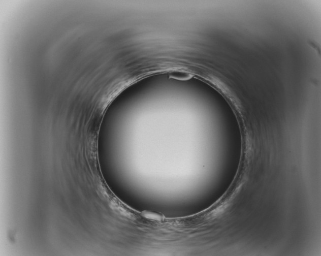 X0000102251001200808011306