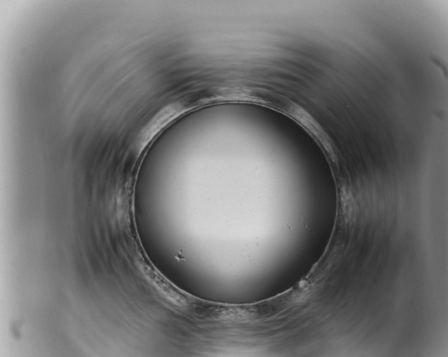 X0000102251002200808011306