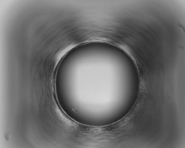 X0000102251003200808011306