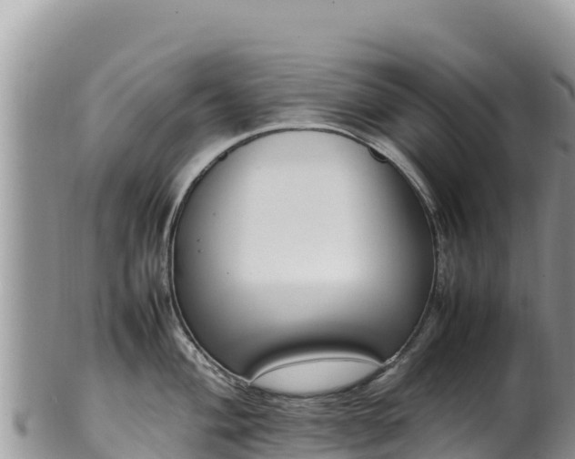 X0000102251004200808011306