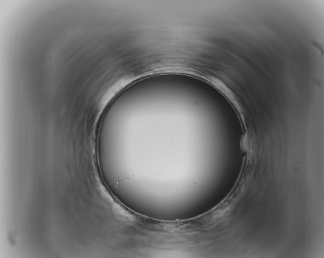 X0000102251005200808011306