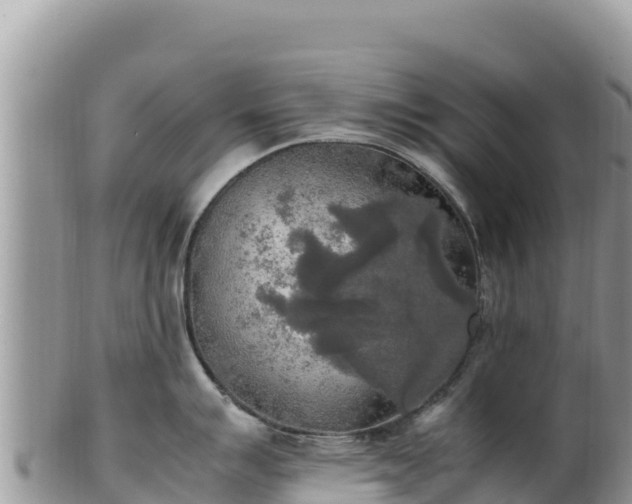 X0000102251007200808011306