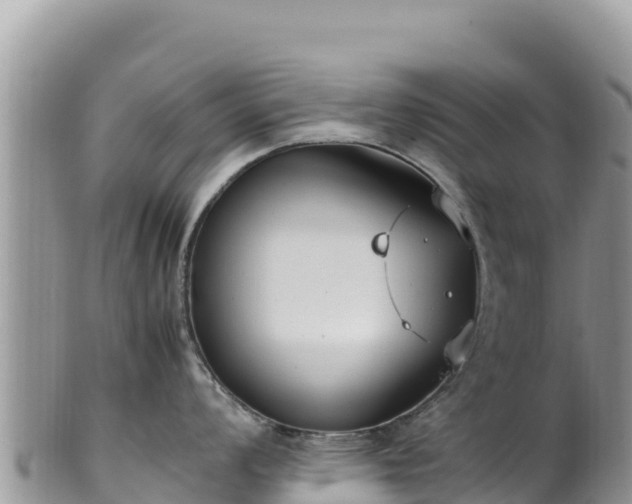 X0000102251008200808011306