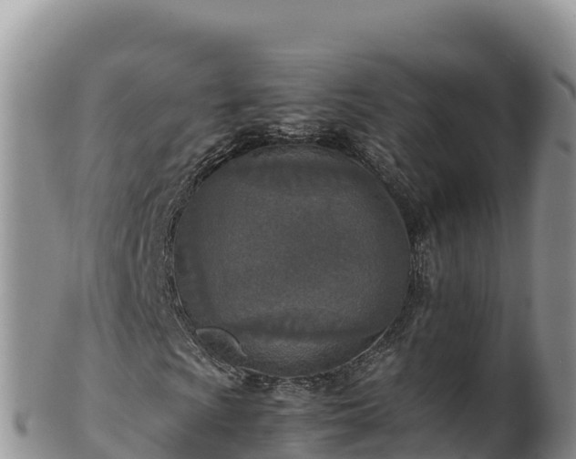 X0000102251009200808011306