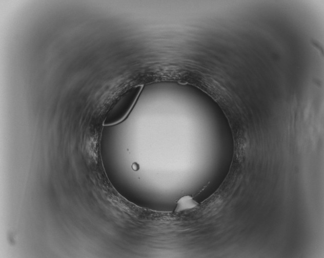 X0000102251010200808011306