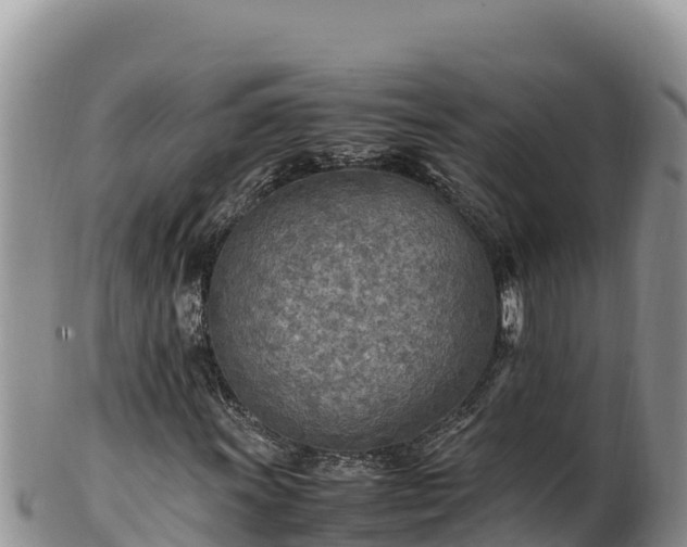 X0000102251011200808011306