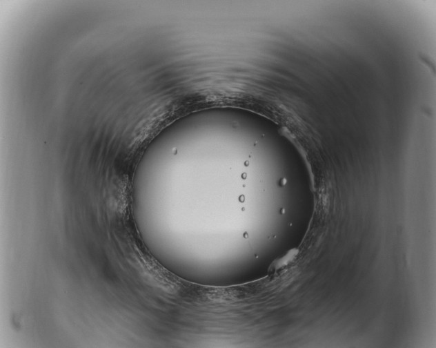 X0000102251012200808011306