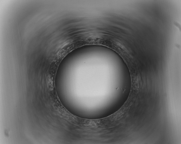 X0000102251013200808011306