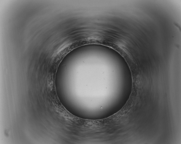 X0000102251015200808011306