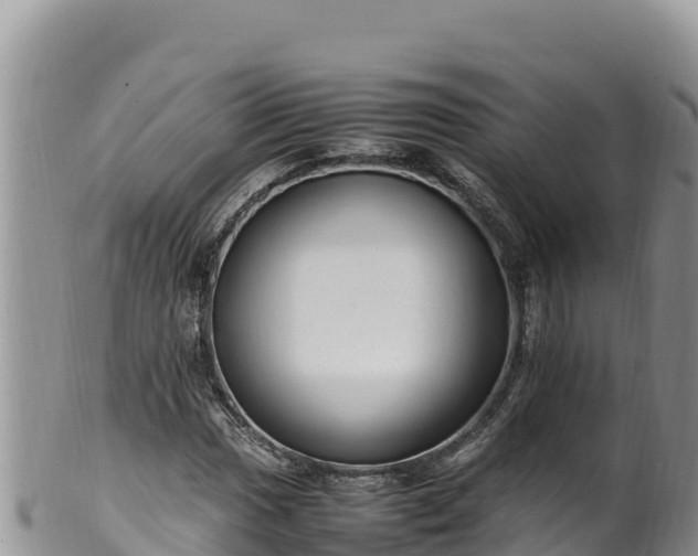 X0000102251017200808011306