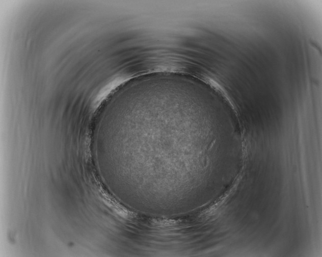 X0000102251019200808011306