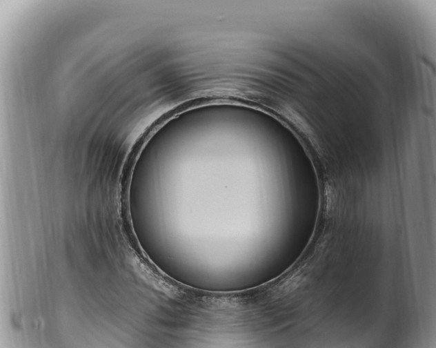 X0000102251020200808011306