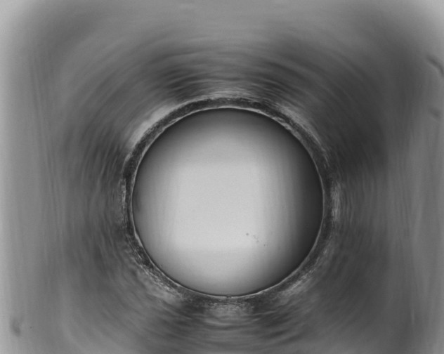 X0000102251021200808011306