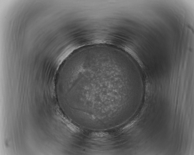 X0000102251023200808011306