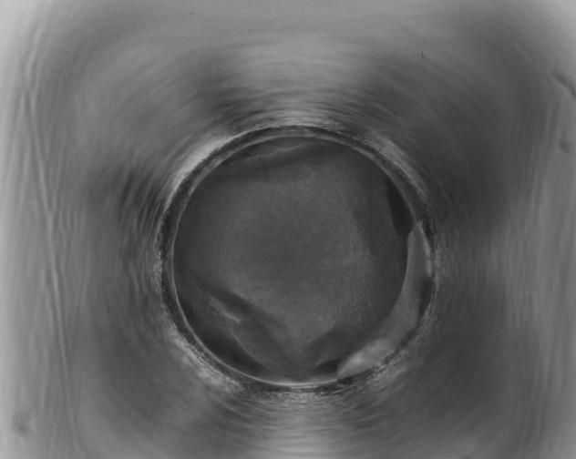 X0000102251024200808011306