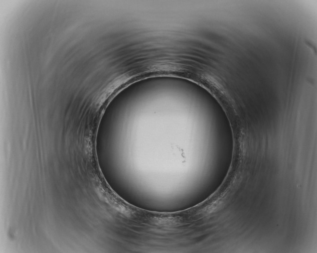 X0000102251025200808011306