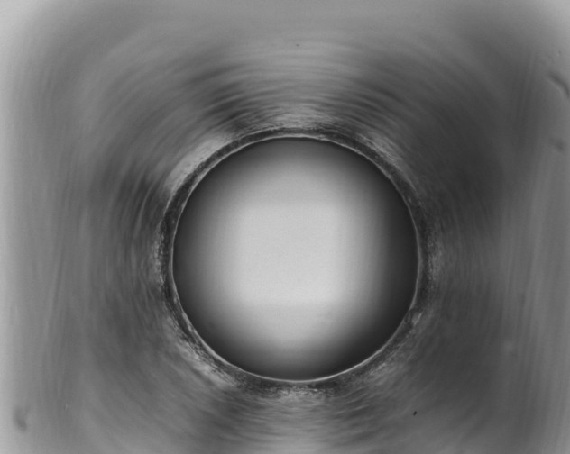 X0000102251026200808011306