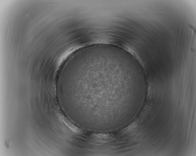 X0000102251027200808011306