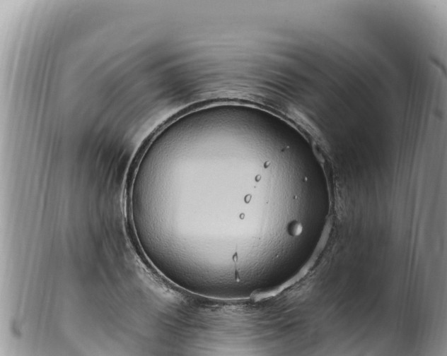 X0000102251028200808011306