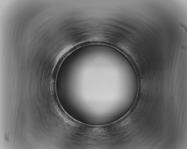 X0000102251029200808011306