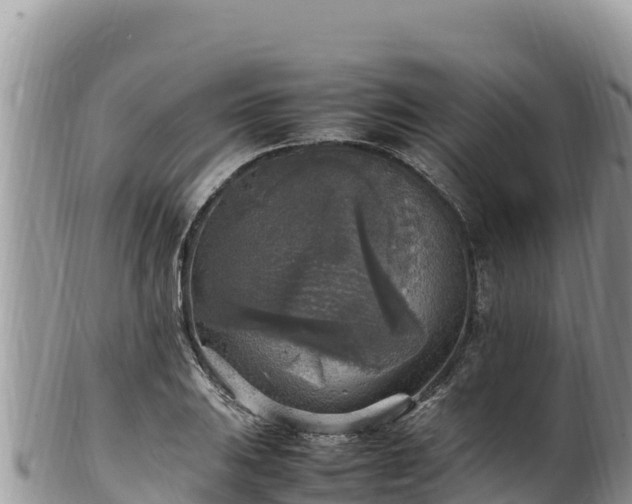 X0000102251031200808011306