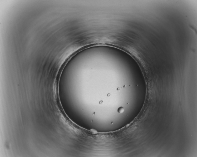 X0000102251032200808011306