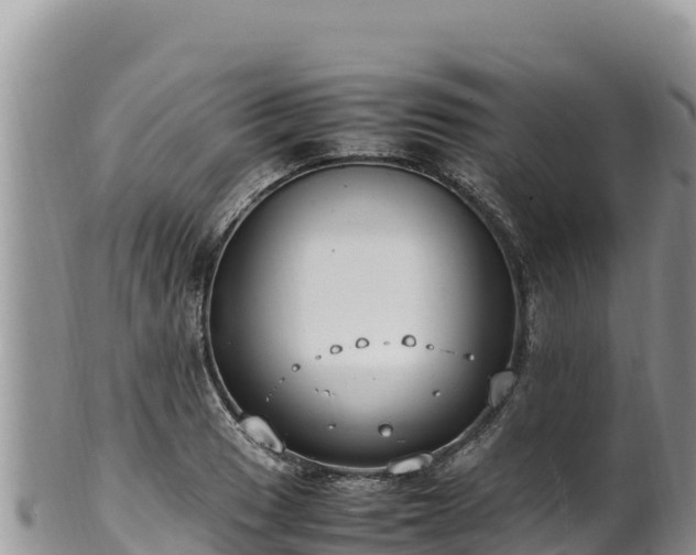 X0000102251033200808011306