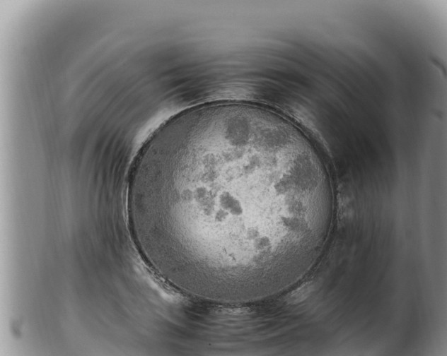 X0000102251035200808011306