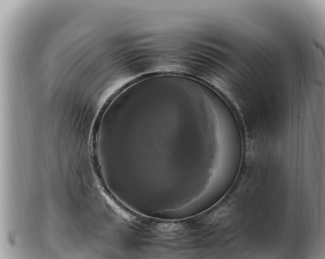 X0000102251037200808011306