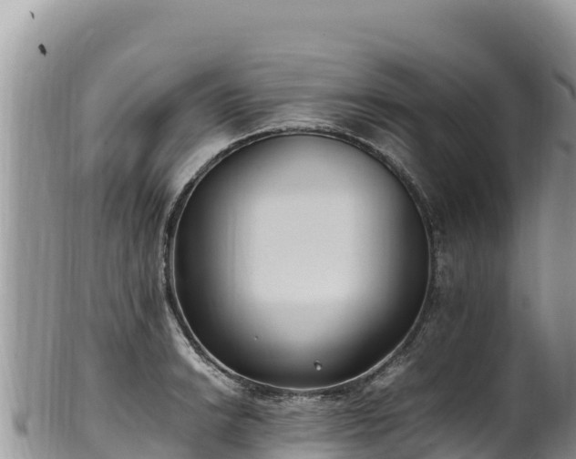 X0000102251038200808011306