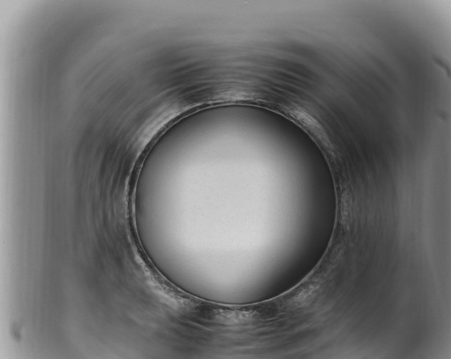 X0000102251039200808011306