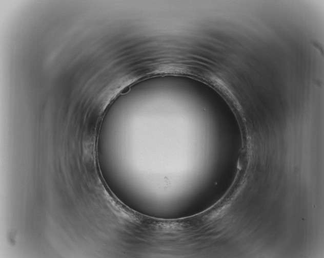 X0000102251041200808011306