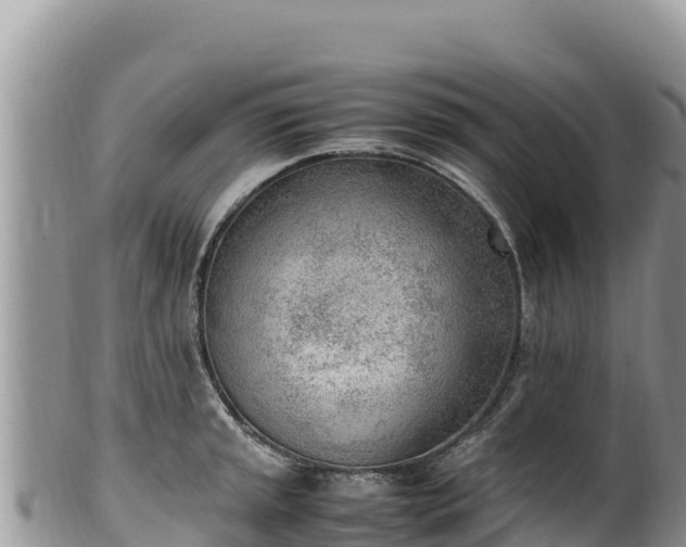 X0000102251045200808011306