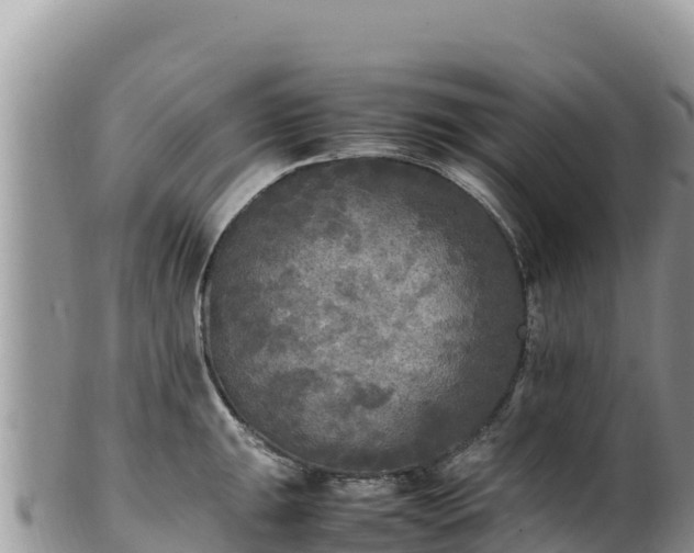 X0000102251047200808011306