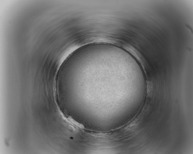 X0000102251048200808011306