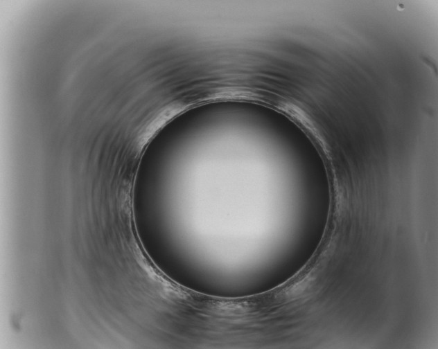 X0000102251049200808011306