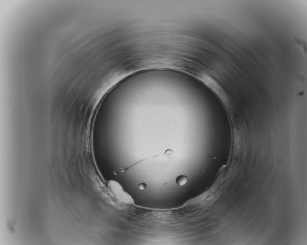 X0000102251052200808011306