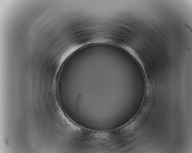 X0000102251053200808011306